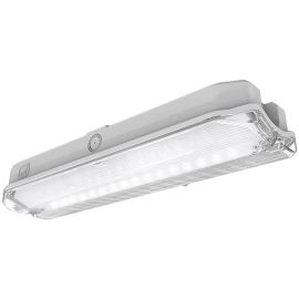 Ansell AGLED/3M Guardian White 3W LED 167lm 6500K IP65 352mm Self-Test Emergency Maintained or Non-Maintained Bulkhead image