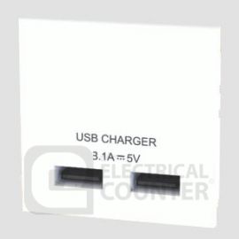 BG EMUSB3W White 2x 3.1A USB-A 2 Module Euro Module USB Charger image