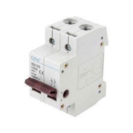 Cudis CPN IS2100 100A 2 Pole Isolator Switch